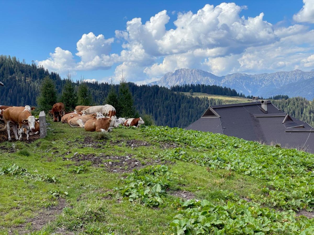 The Mountain Home Hermagor-Pressegger See Esterno foto